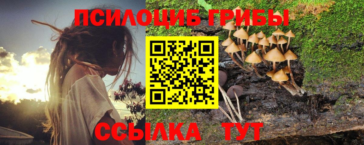 Бор  Галлюциногенные грибы Cubensis  Вход с VPN 